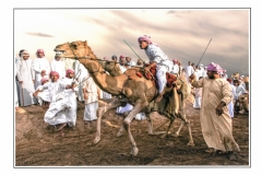 A_Montini Giulio_Camel race 2